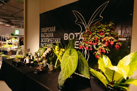Афиша: Botanical Expo в Новосибирске 1 августа 2026