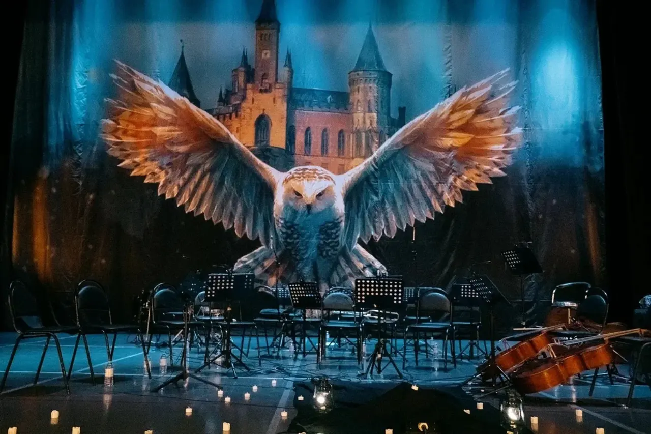 Harry Potter. Magic Music