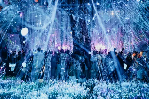 Афиша: Evolution: Prime Era в Москве 31 июля 2026