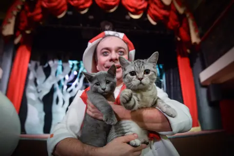 Афиша: Котобум. Дмитрий Куклачёв в Ангарске 30 сентября 2026